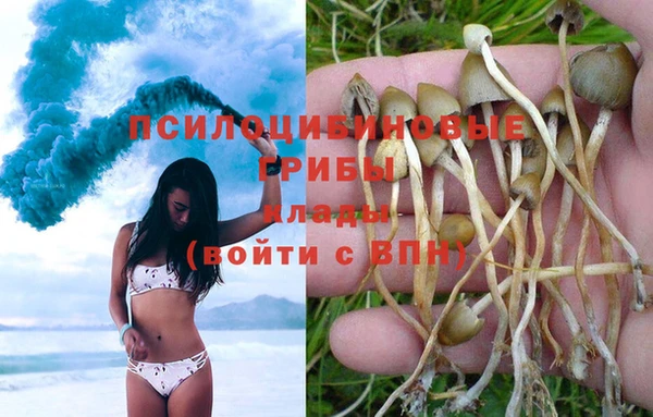 прущий лед Михайловка