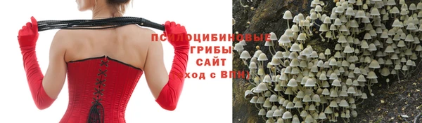 ALPHA-PVP Михайлов