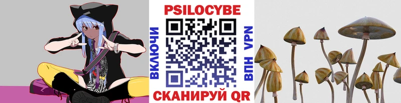 Галлюциногенные грибы мицелий  где продают   Донской 
